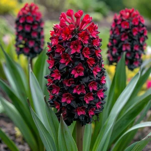 Гиацинт Джем Стоун купить по цене от 2099р. в интернет-магазине «Посадика» с доставкой почтой в в Наро-Фоминске и по всей России – [изображение №1].