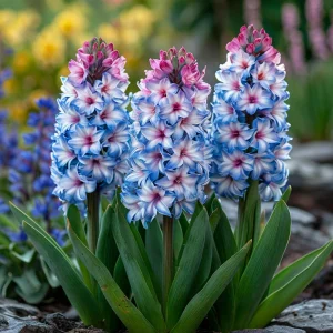 Гиацинт Пинк Мари купить по цене от 2099р. в интернет-магазине «Посадика» с доставкой почтой в в Наро-Фоминске и по всей России – [изображение №1].