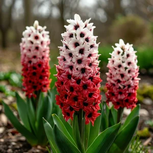 Гиацинт Скай Гарден купить по цене от 2099р. в интернет-магазине «Посадика» с доставкой почтой в в Наро-Фоминске и по всей России – [изображение №1].